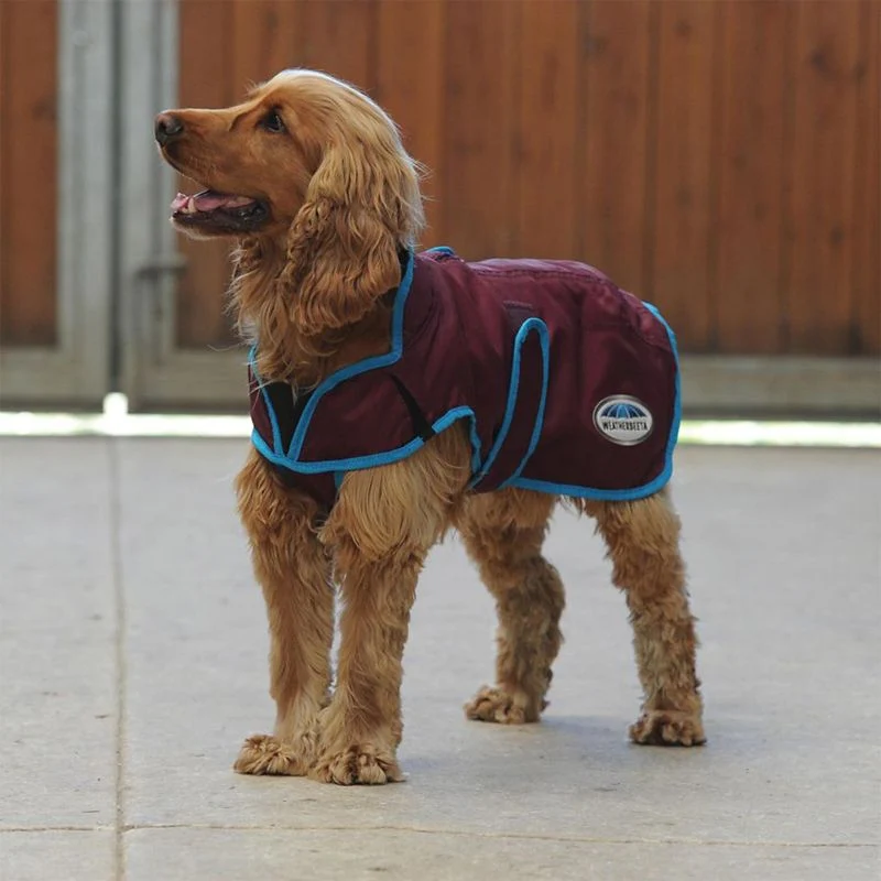 Weatherbeeta ComFiTec Windbreaker Free Deluxe Dog Coat - Image 6