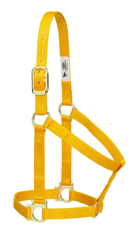 Weaver Basic Nylon Halter - Image 2