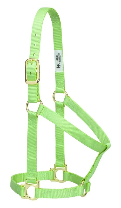 Weaver Basic Nylon Halter - Image 3