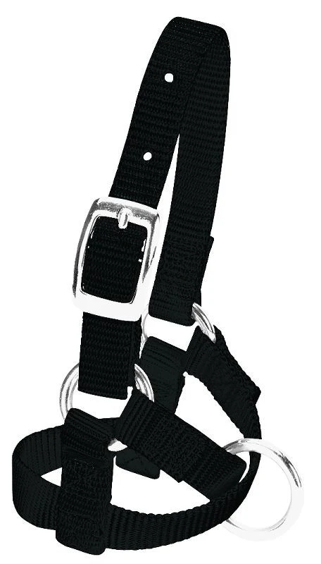Weaver Leather Alpaca Halter