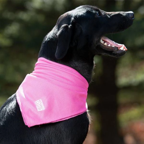 Weaver D.O.G. Cooling Bandana - Image 3