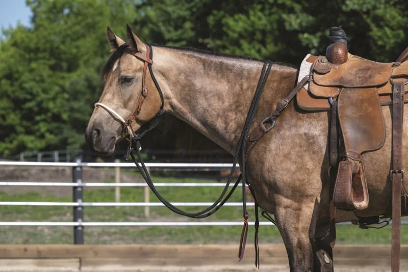 Weaver Loping Hackamore Leather Hanger - Image 2