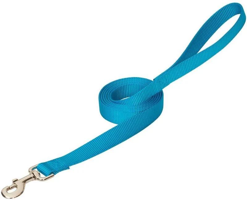 Weaver Prism Choice Nylon Leash - Image 2