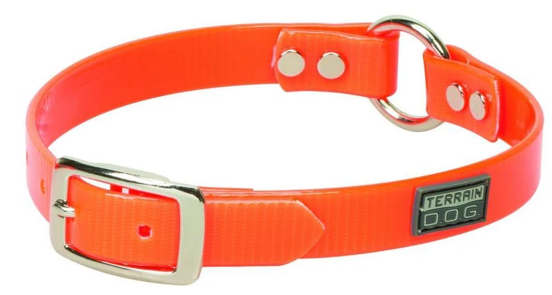 Terra Dog Brahma Webb Clear Coat Collar - Image 3