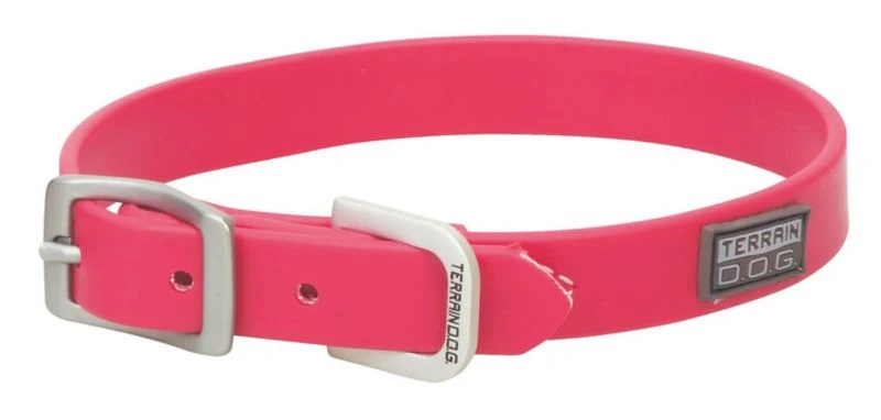 Weaver Dog Brahma Webb Collar - Image 14
