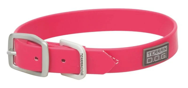 Weaver Dog Brahma Webb Collar - Image 2