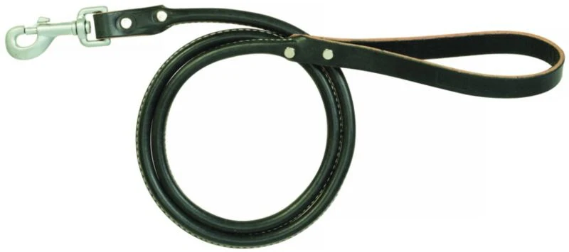 Weaver Terrain Dog Rolled Leash - Image 4