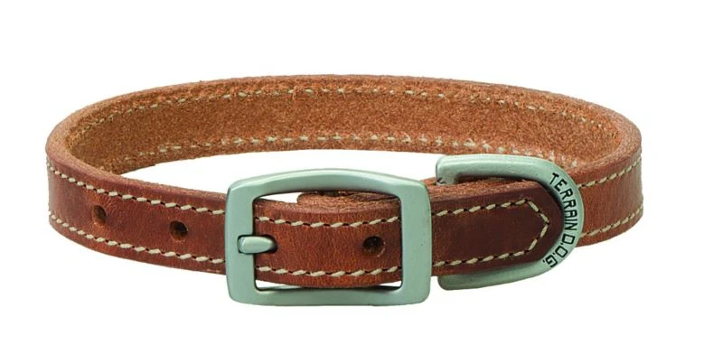 Weaver Terrain Dog Straight Collar - Image 11