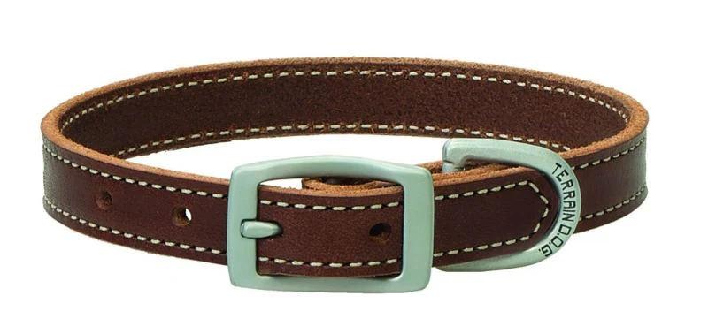 Weaver Terrain Dog Straight Collar - Image 2